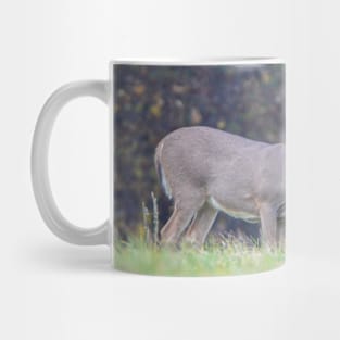 White Tailed Deer Mug